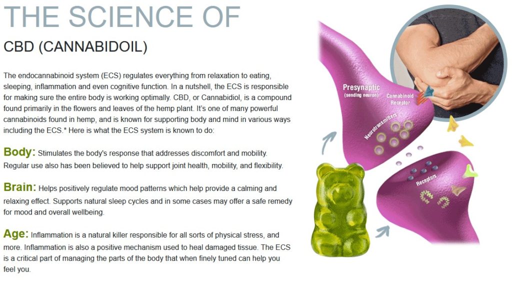 Do CBD Gummies work with anxiety?