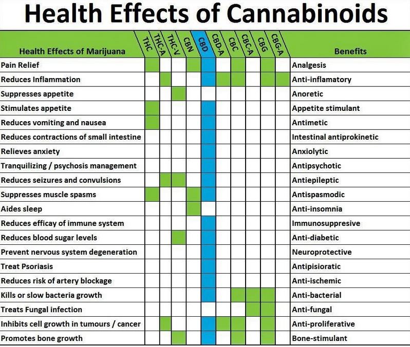 CBD also has anti-inflammatory and antioxidant properties