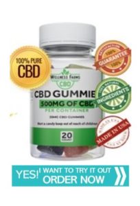 Top 10 Reasons to Try Wellness Farms CBD Gummies Today!